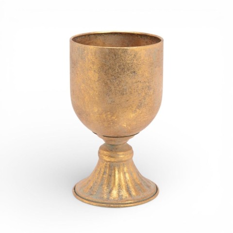 COPPA PISA 14x14x24h GOLD